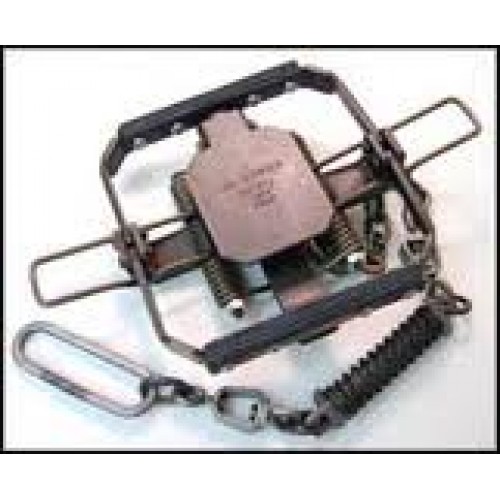 wild dog traps, dingo traps, feral dogs, feral dog traps, Jake traps,